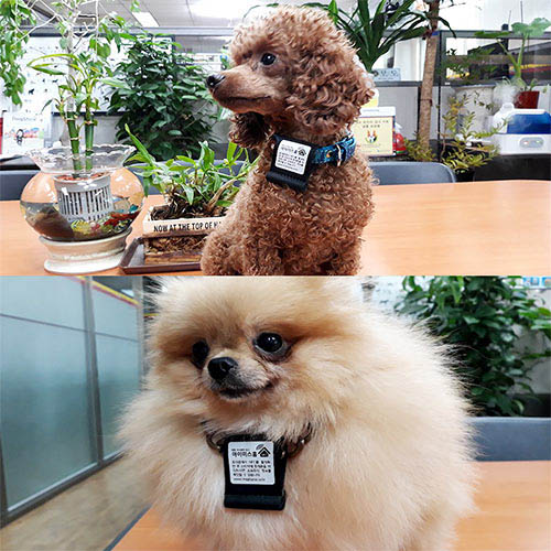 1562906949 thumbnail