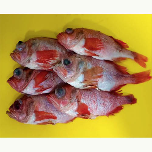 1563169111 thumbnail