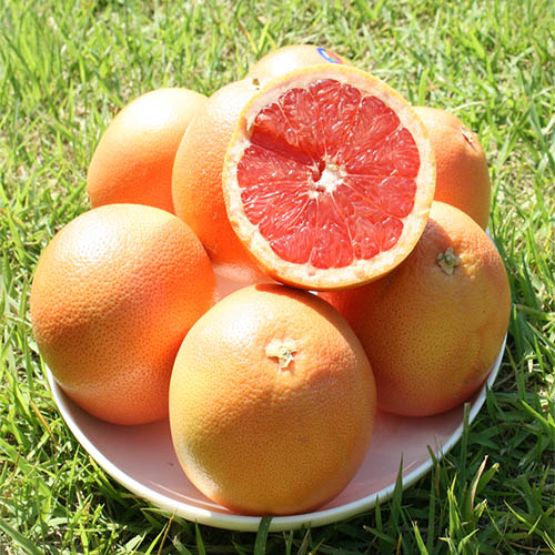 1563169164 thumbnail