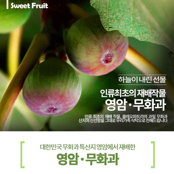 1568958181 thumbnail