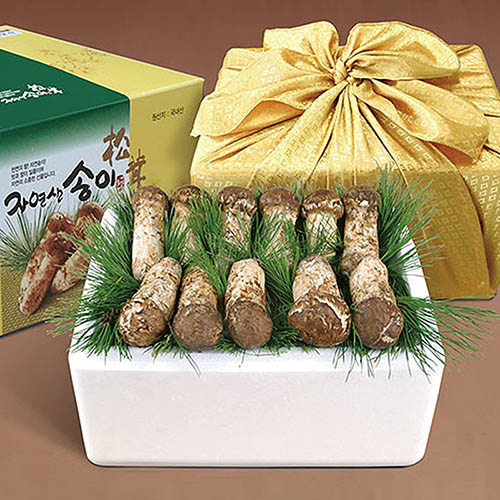 1569916925 thumbnail