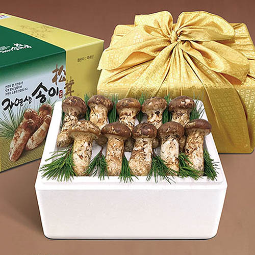 1569916942 thumbnail