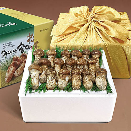 1569916999 thumbnail