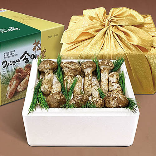 1569917042 thumbnail