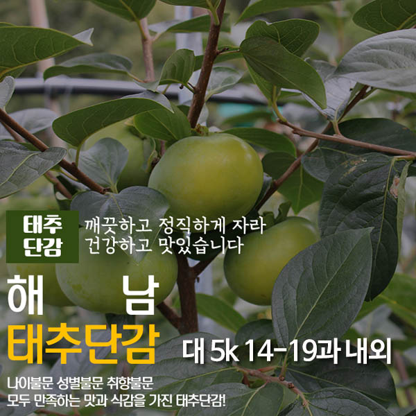 1571383221 thumbnail