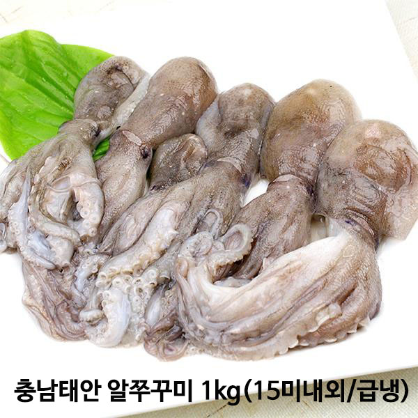 1573026249 thumbnail