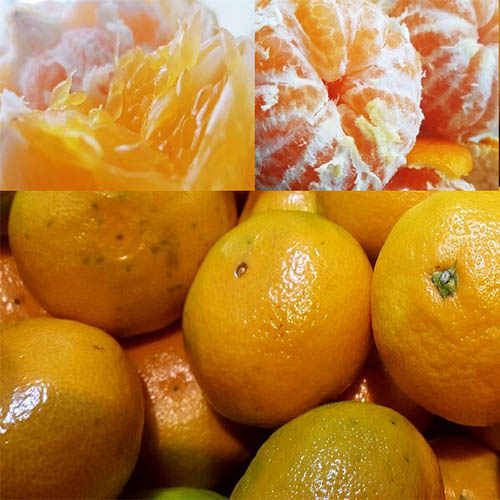 1574145869 thumbnail