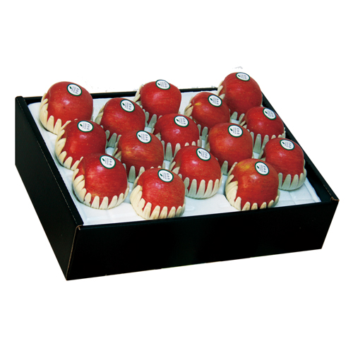 1574738342 thumbnail