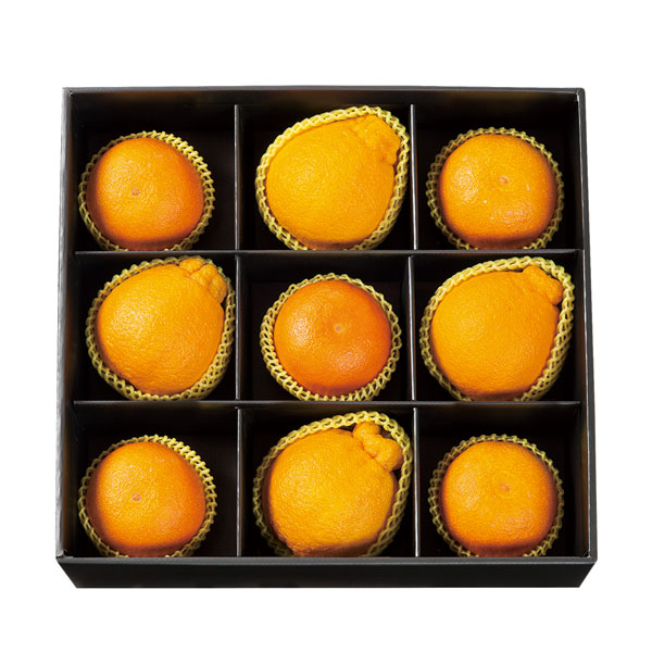 1574738570 thumbnail