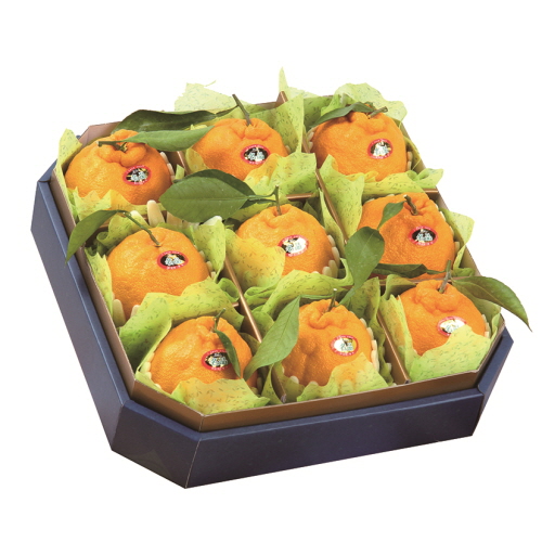 1574738835 thumbnail