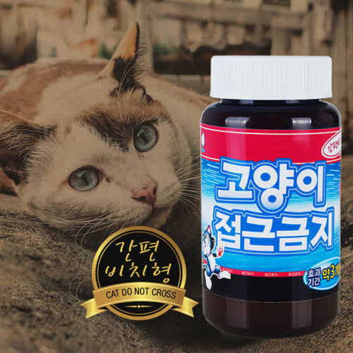 1574750386 thumbnail