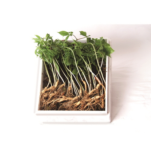 1574830942 thumbnail