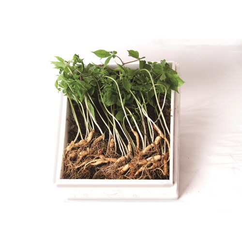 1574830966 thumbnail