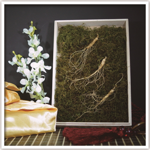 1574831017 thumbnail