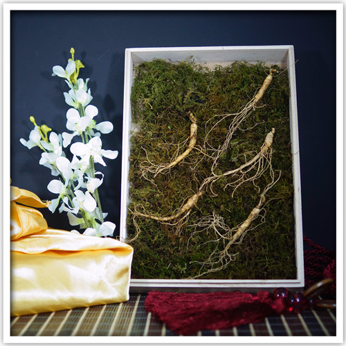 1574831044 thumbnail