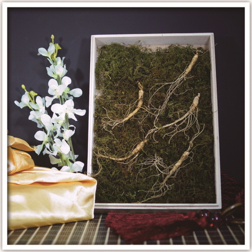 1574831131 thumbnail