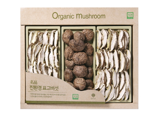 1574831486 thumbnail