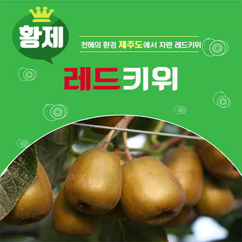 1578555773 thumbnail