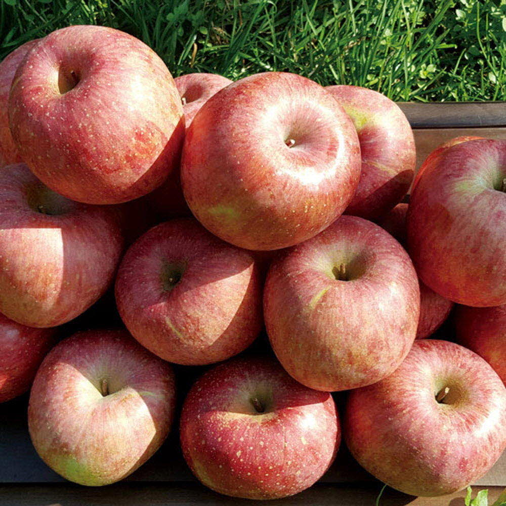 1584500345 thumbnail