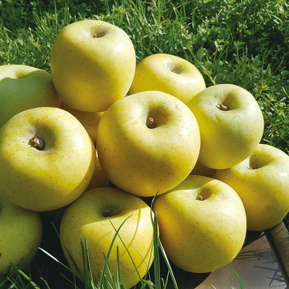 1584500346 thumbnail