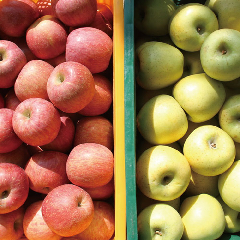 1584500347 thumbnail