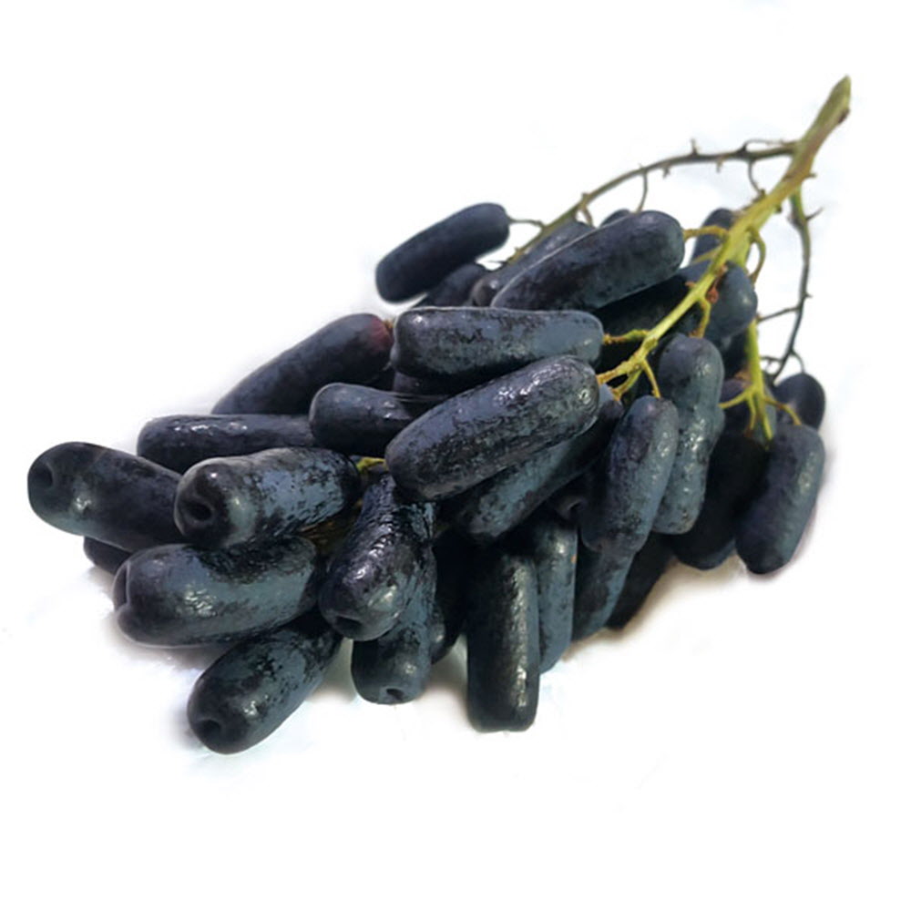 1584500351 thumbnail