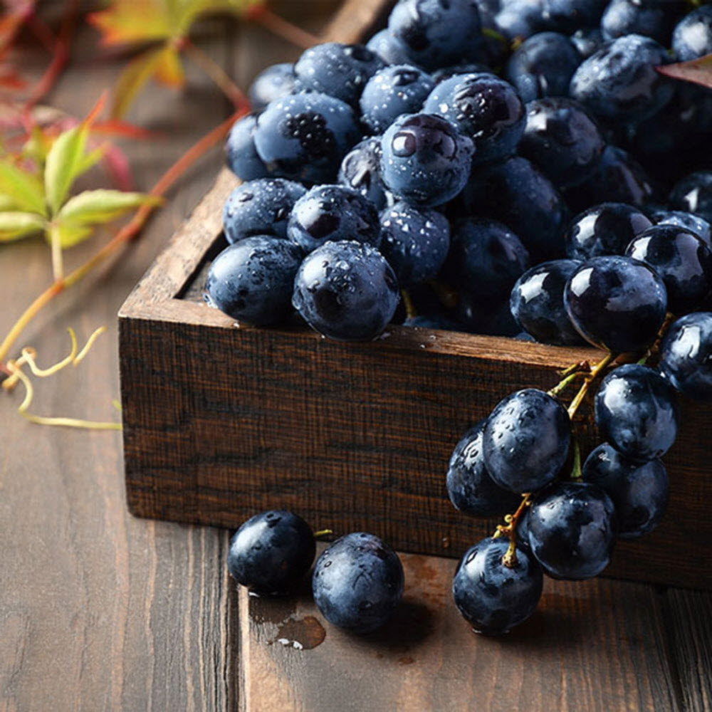 1584500355 thumbnail