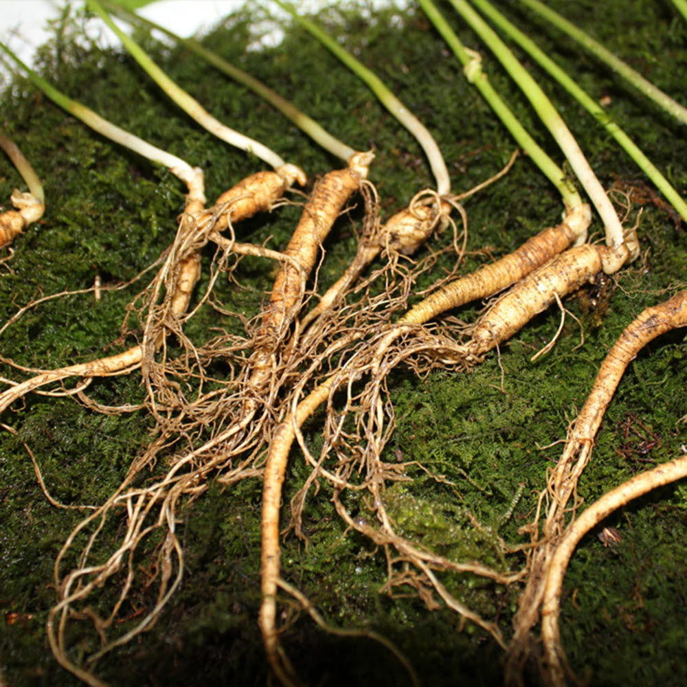 1585727927 thumbnail