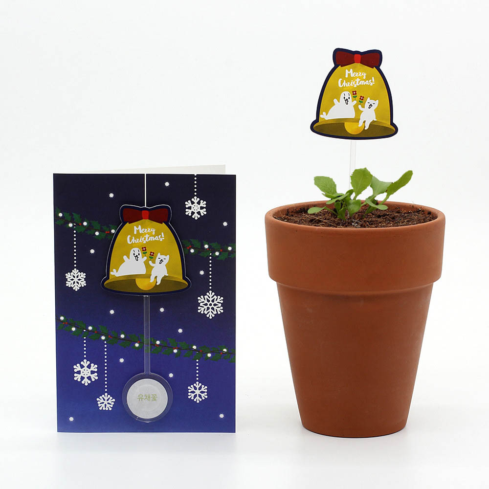 1590468259 thumbnail