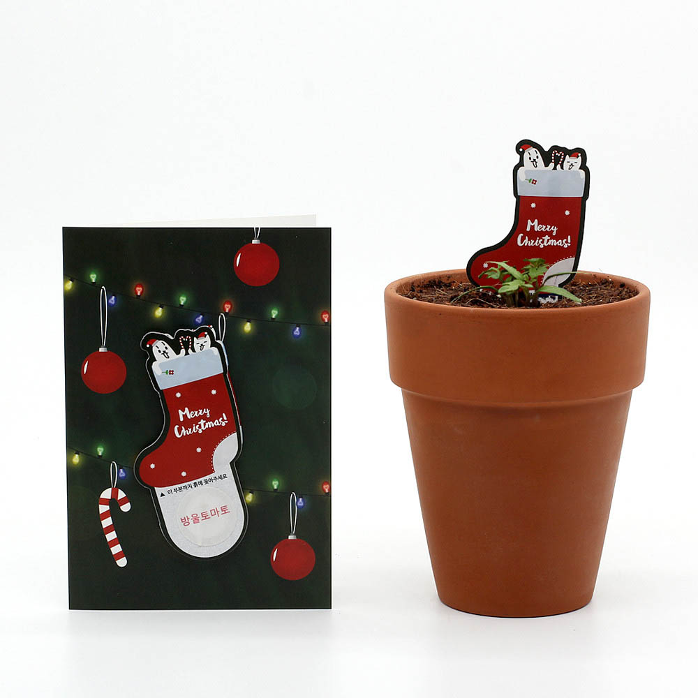 1590468262 thumbnail