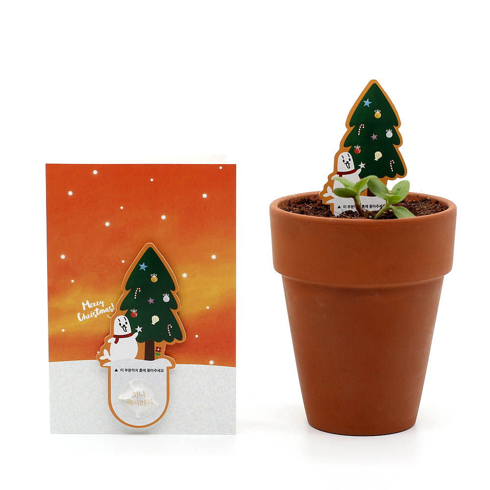 1590468264 thumbnail