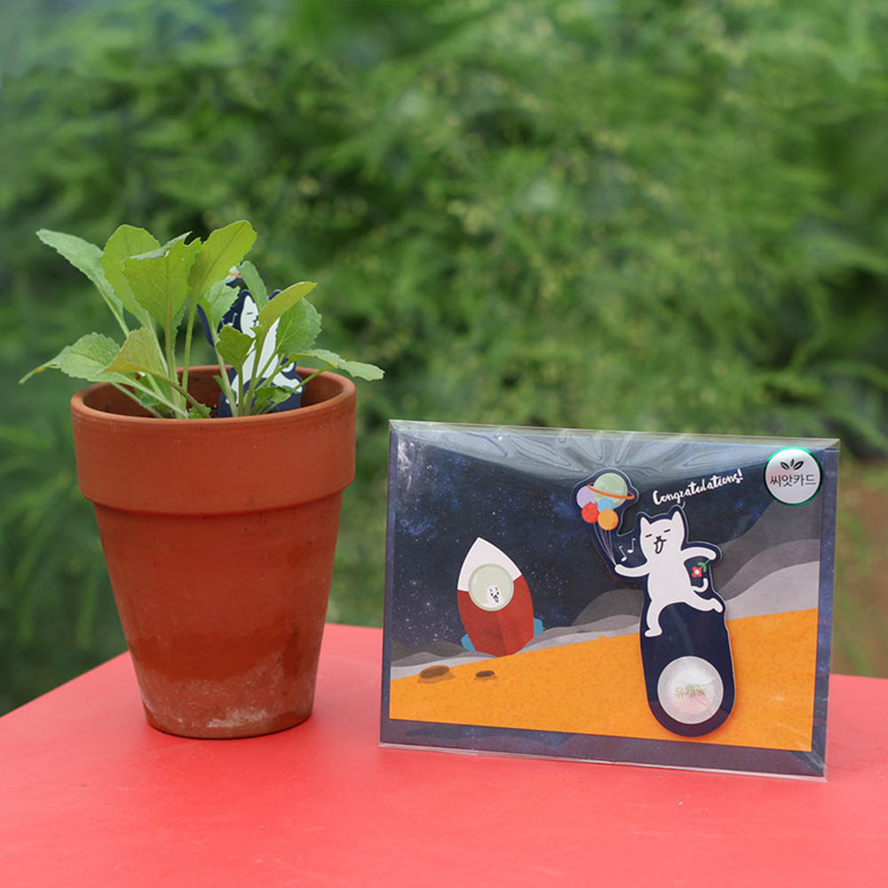 1590468270 thumbnail