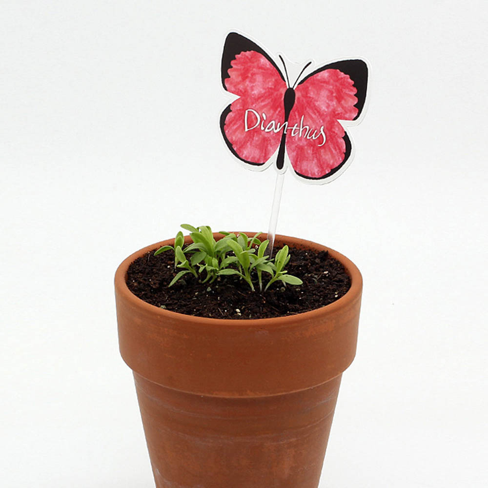 1590468275 thumbnail