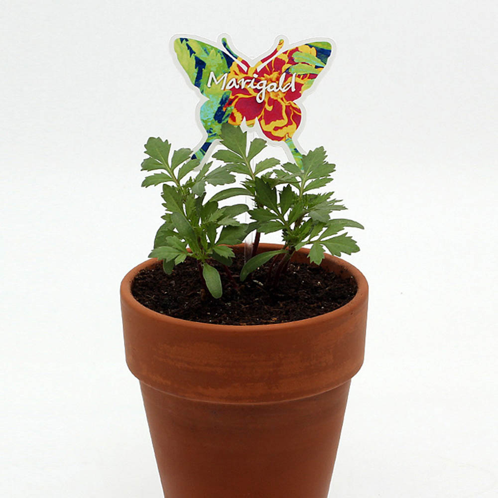 1590468277 thumbnail