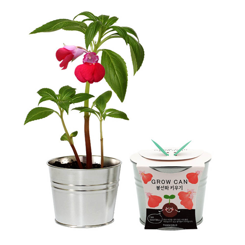 1590468280 thumbnail