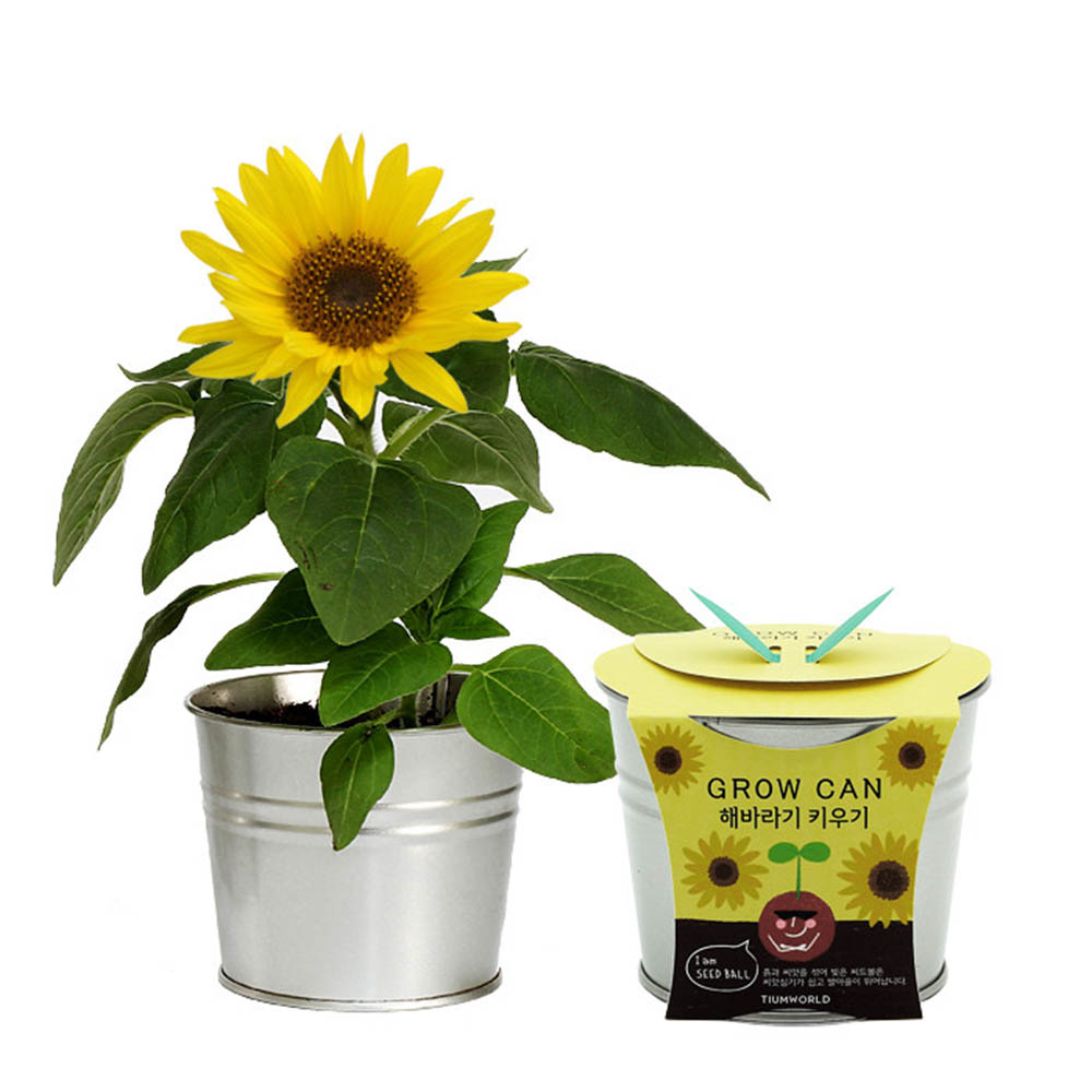 1590468281 thumbnail