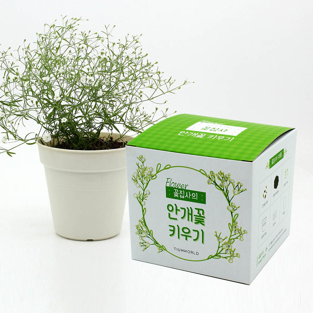 1590468285 thumbnail