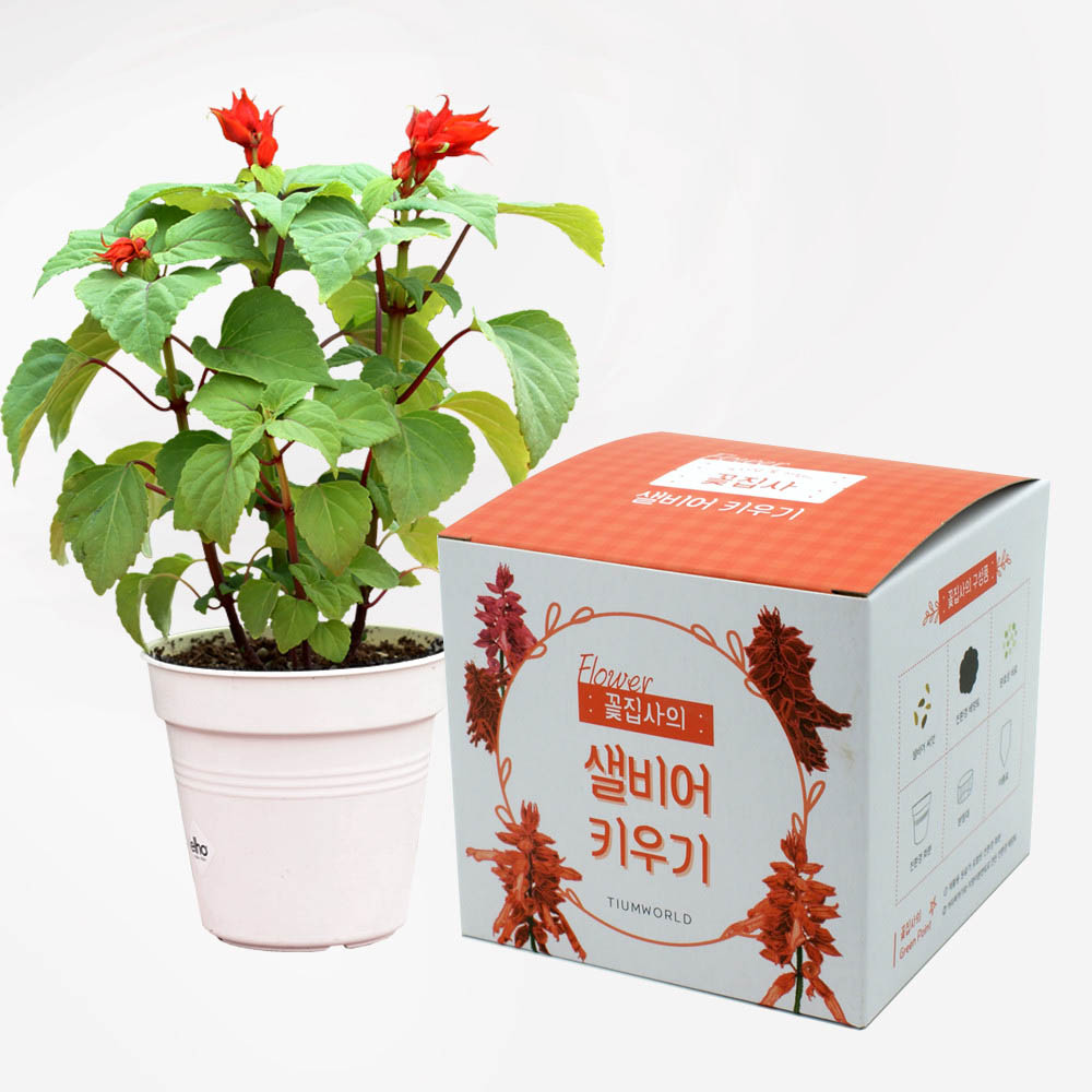 1590468286 thumbnail