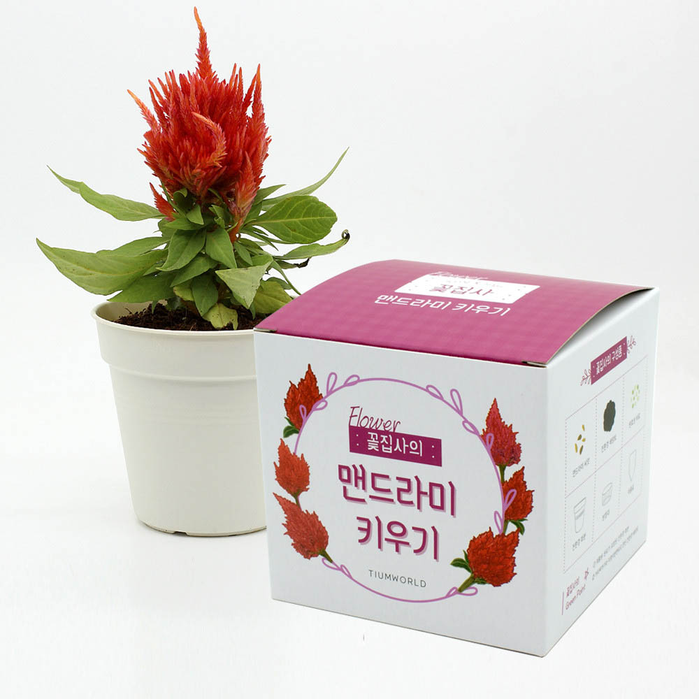 1590468287 thumbnail