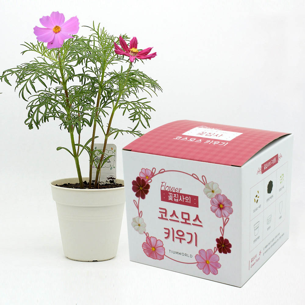 1590468289 thumbnail