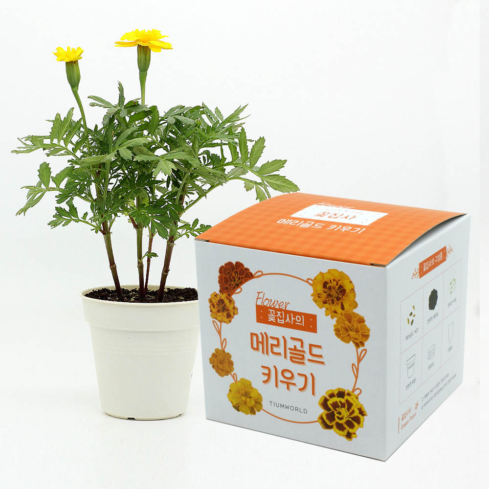 1590468290 thumbnail