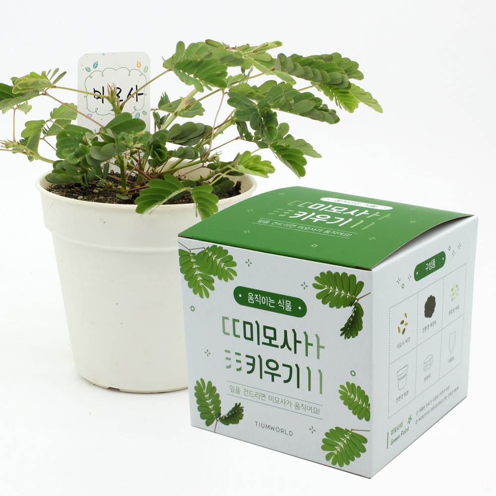 1590468291 thumbnail