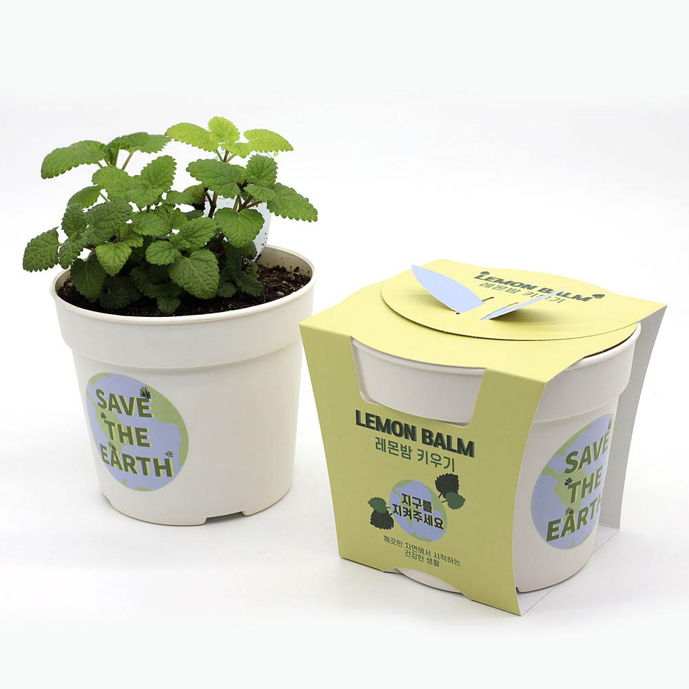 1590468292 thumbnail