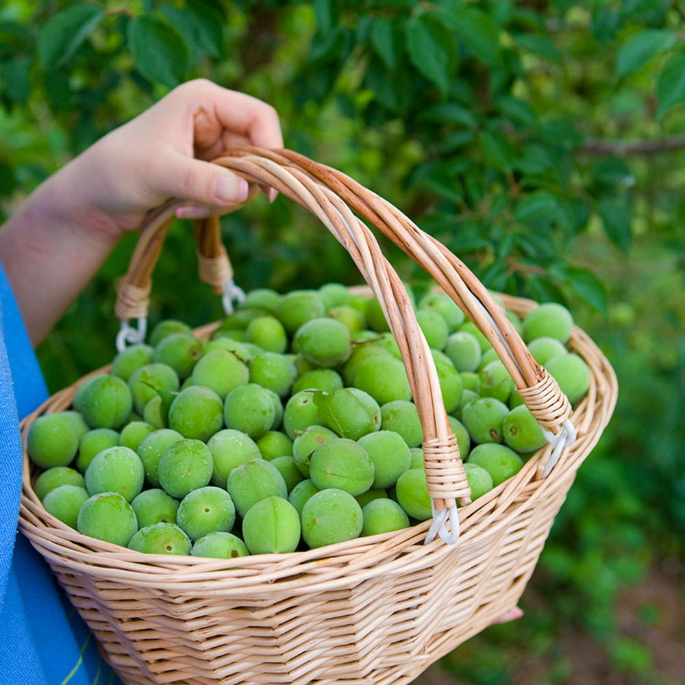 1591085372 thumbnail