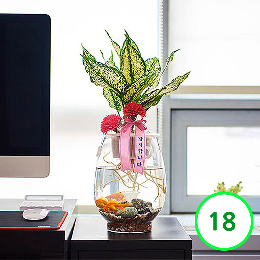 1594280240 thumbnail