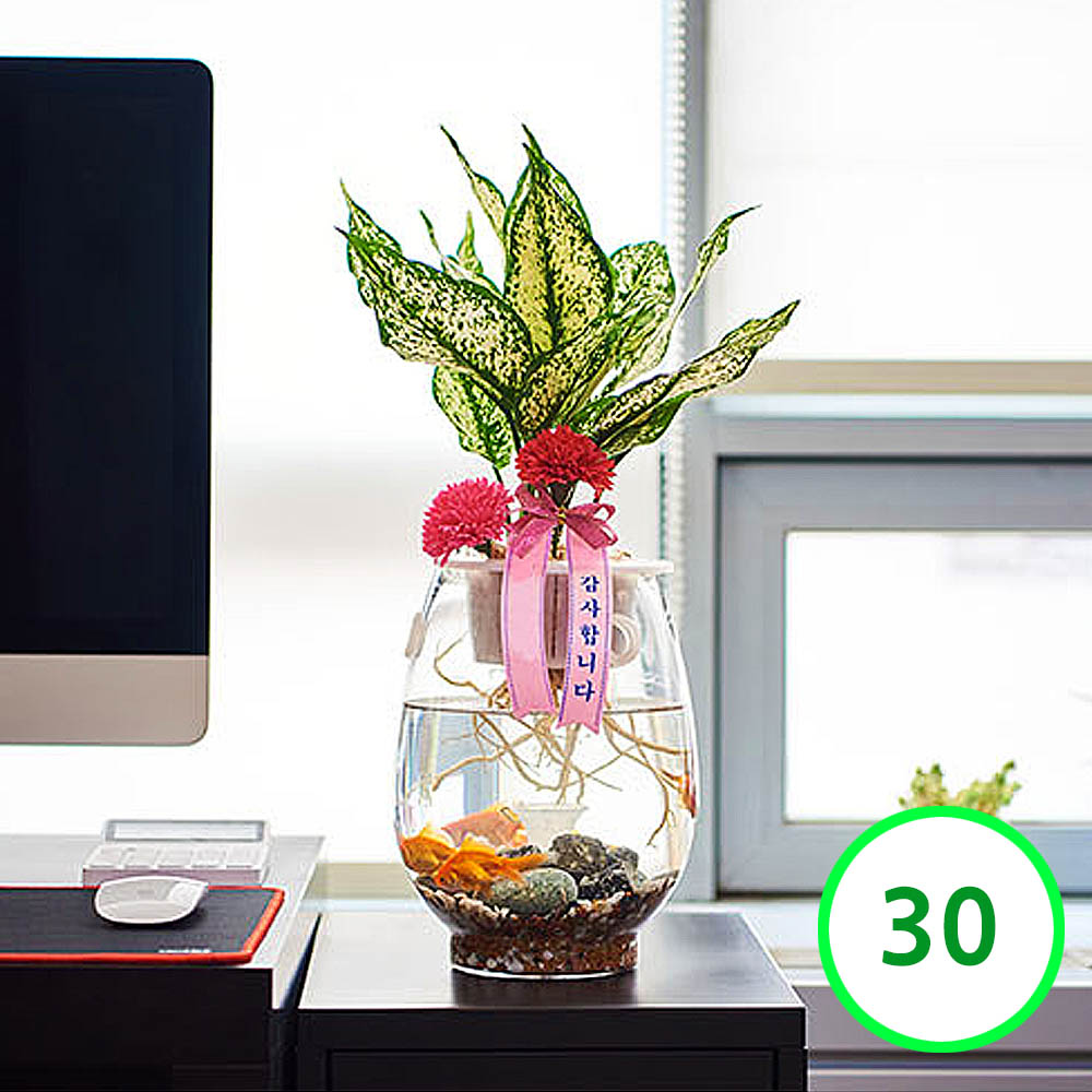 1594280242 thumbnail