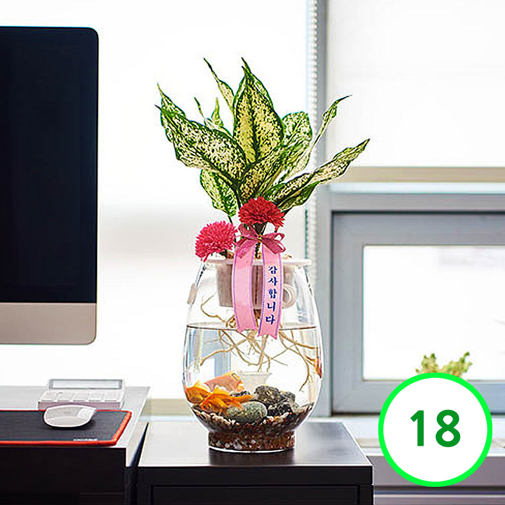 1594280243 thumbnail