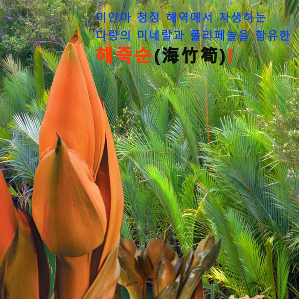 1598246651 thumbnail