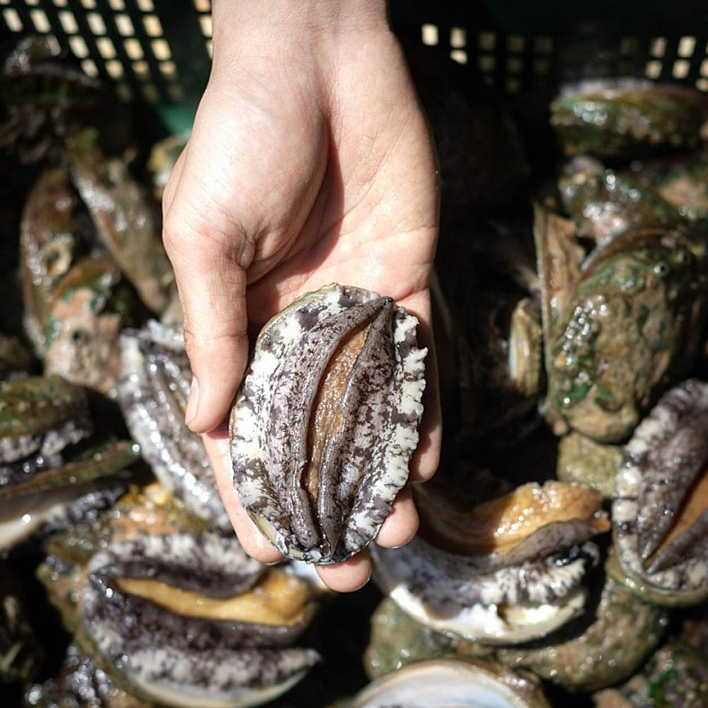 1598421354 thumbnail