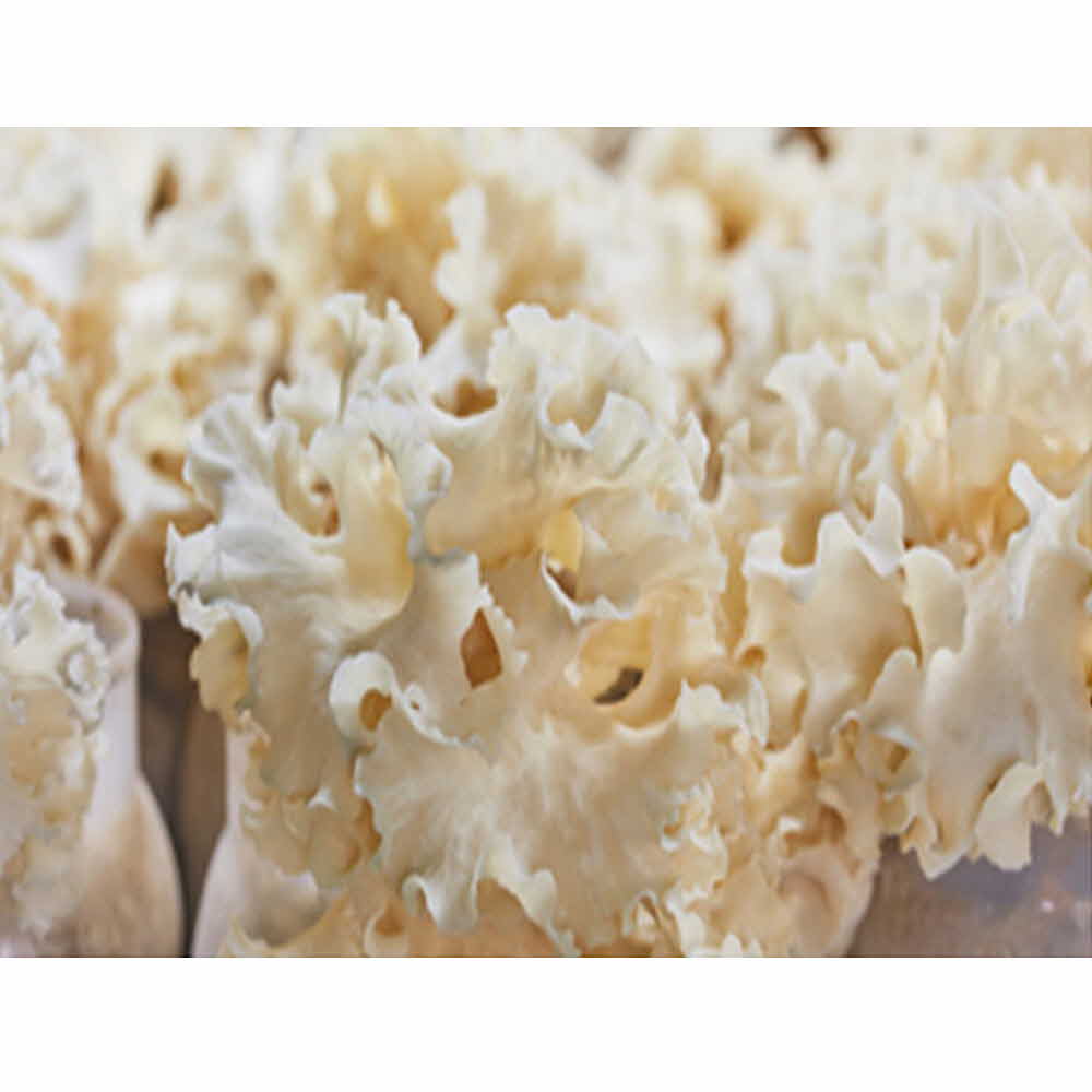 1599712917 thumbnail